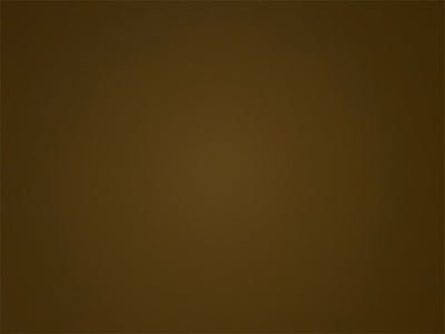 2010 Honda Accord LX 2.4