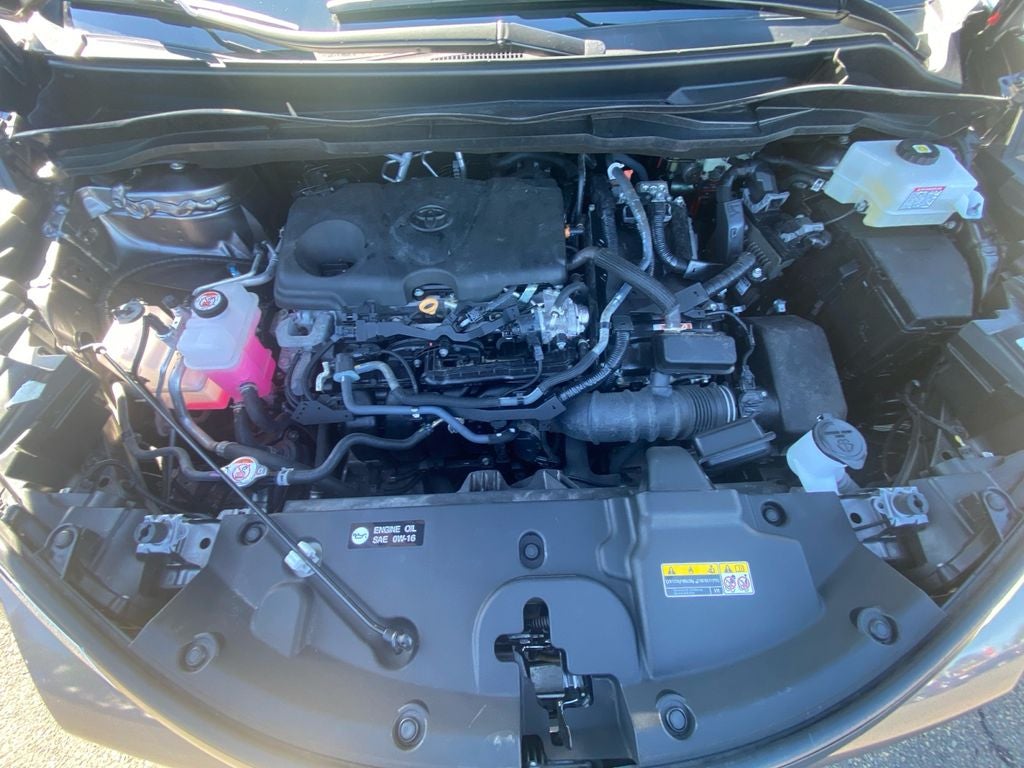 2024 Toyota Sienna XLE 8 Passenger