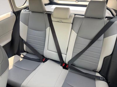 2021 Toyota RAV4 Hybrid XLE Premium