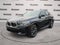 2023 BMW X6 xDrive40i M Sport