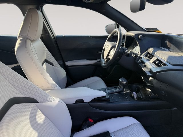 2019 Lexus UX UX 200