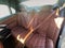 2026 BMW 7 Series 740i xDrive