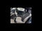 2026 MINI CONVERTIBLE SIGNATURE PLUS