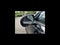 2027 MINI COUNTRYMAN SIGNATURE PLUS
